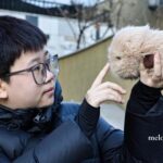 JÓVENES EN CHINA ENCUENTRAN COMPAÑÍA EN MASCOTAS CON IA