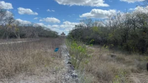 INAH activa operativo de equinoccio con apertura de última hora en Dzibilchaltún; Fashion Week Madrid renueva dirección