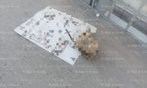 Denuncian descargas clandestinas de aguas residuales en Gómez Palacio; hallan cráneo humano con mensaje de brujería