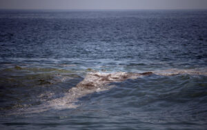 Autoridades no identifican origen de derrame de petróleo que afecta 630 km de litoral en Veracruz