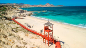 Trump revoca protecciones ambientales en Golfo de México; Semarnat cancela permisos turísticos