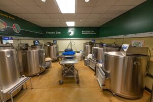 Reportan 10 asesinatos de ambientalistas en México durante 2025; celebran Día de la Tierra