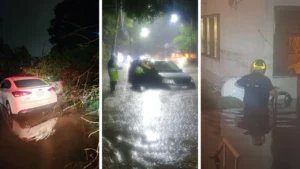 Activan alerta púrpura en Cuajimalpa por lluvias y granizo; árbol caído aplasta dos vehículos