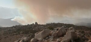 Incendio forestal binacional afecta 300 hectáreas en límites de Tijuana y Tecate