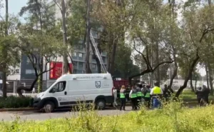 Hallan cuerpo de hombre colgado de un árbol en camellón de Insurgentes Norte