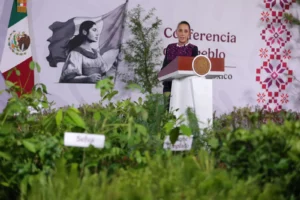 Sheinbaum anuncia Jornada Nacional de Reforestación con meta de 6.6 millones de plantas y árboles