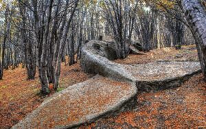 Publican ‘Momentum’, libro sobre arte y ecología en América Latina editado por el MoMA